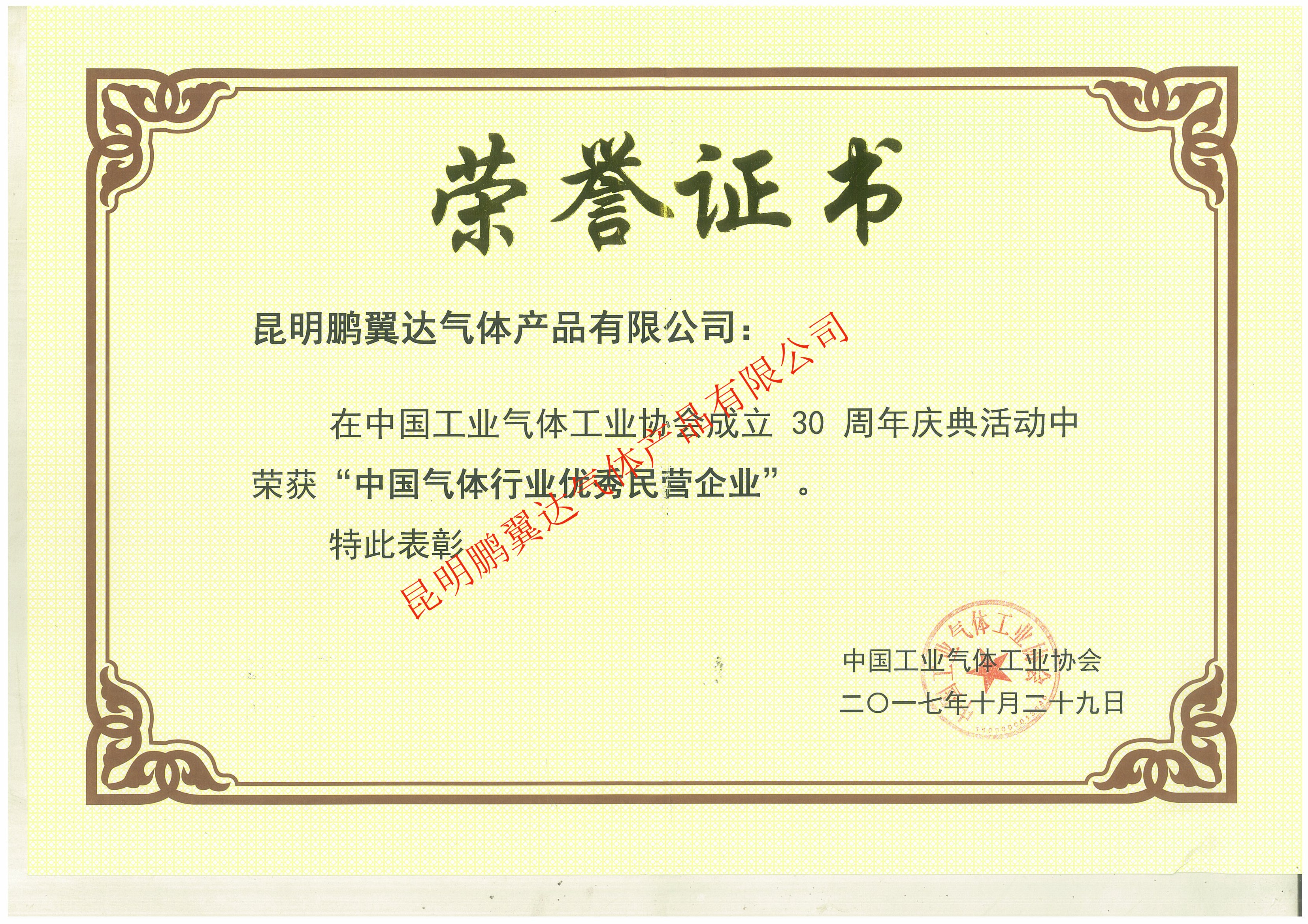 中國(guó)氣體行業(yè)優(yōu)秀民營(yíng)企業(yè)榮譽(yù)證書